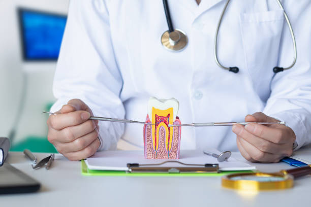 Best Emergency Root Canal Treatment in Thornport, OH